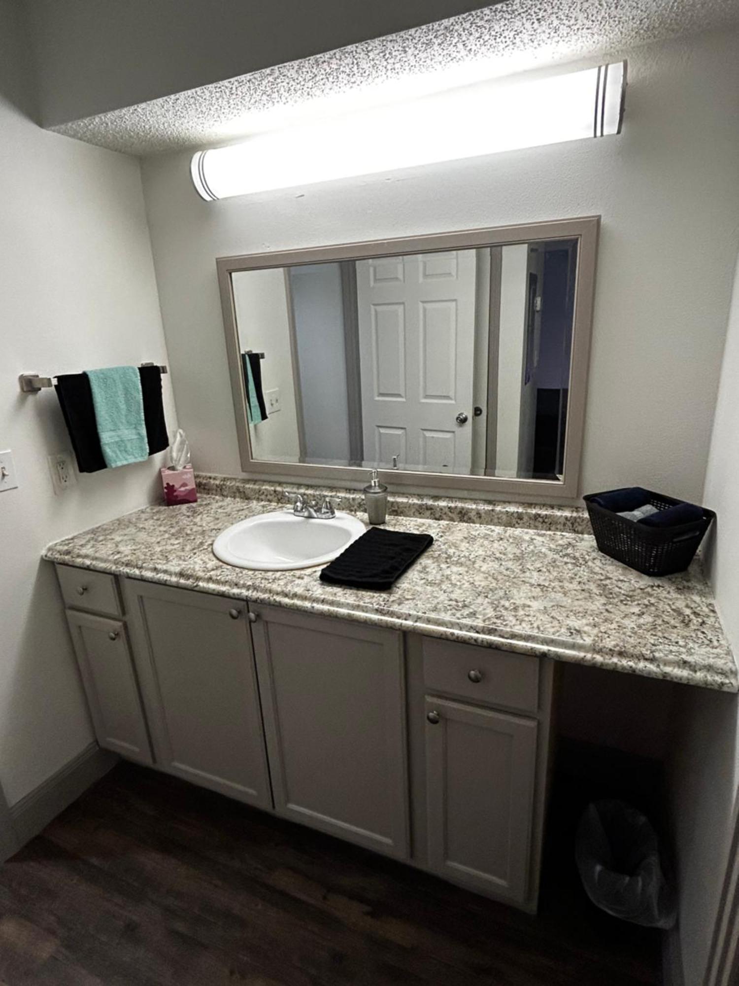 Posh Entire Unit At Nrg & Tmc Apartment Houston Bagian luar foto